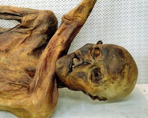 Oetzi Iceman 作： Unbekannt Unbekannt